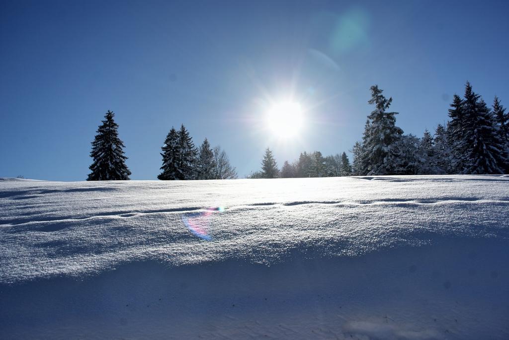 Apartament Almsternchen 2 - Almsternchen 3 Oberstdorf Zewnętrze zdjęcie